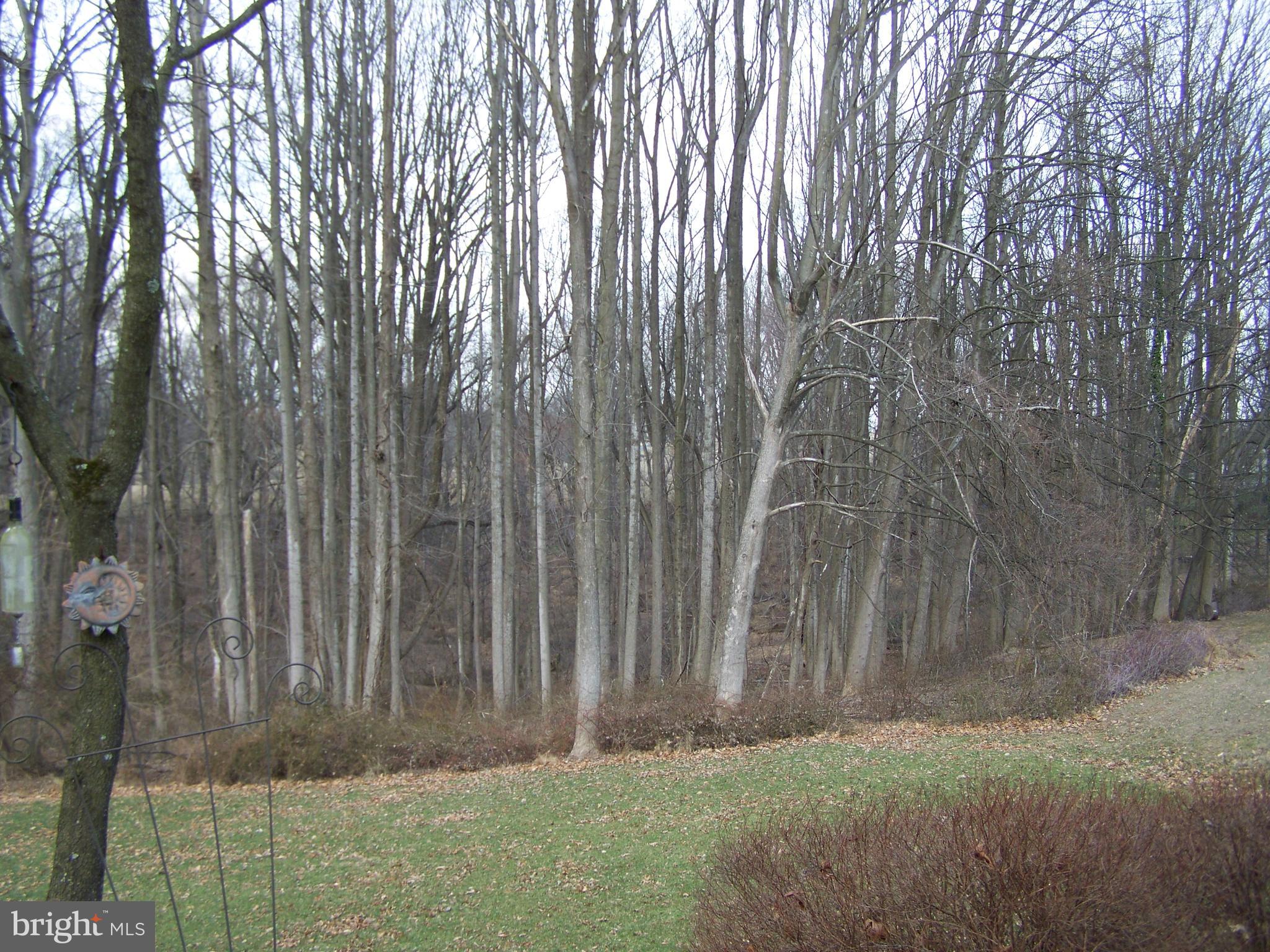 2416 Engle Road Fallston, MD 21047 - Photo 6 of 82 View from deck