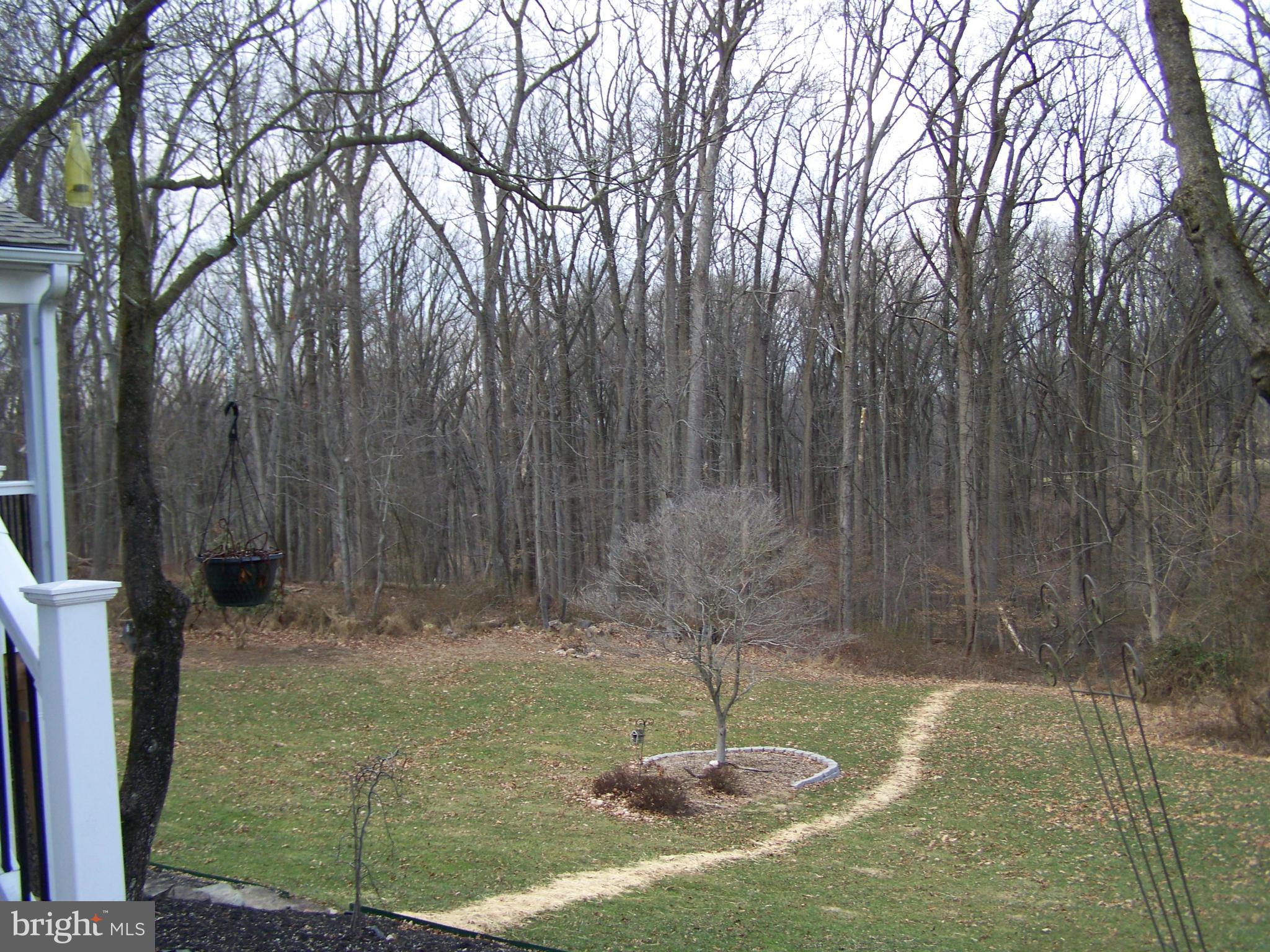 2416 Engle Road Fallston, MD 21047 - Photo 7 of 82 View from driveway side to back yard