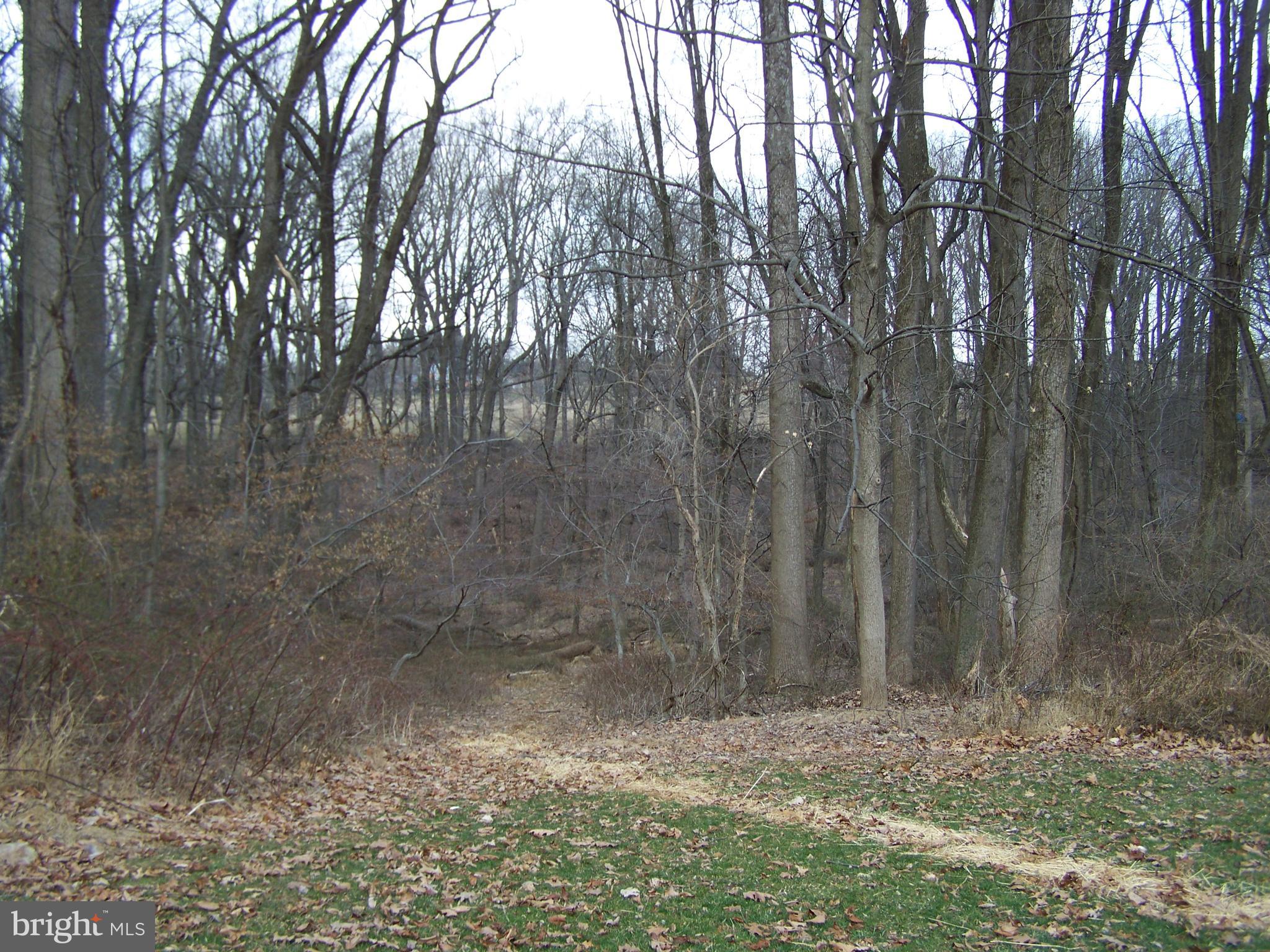 2416 Engle Road Fallston, MD 21047 - Photo 8 of 82 Backyard to woods