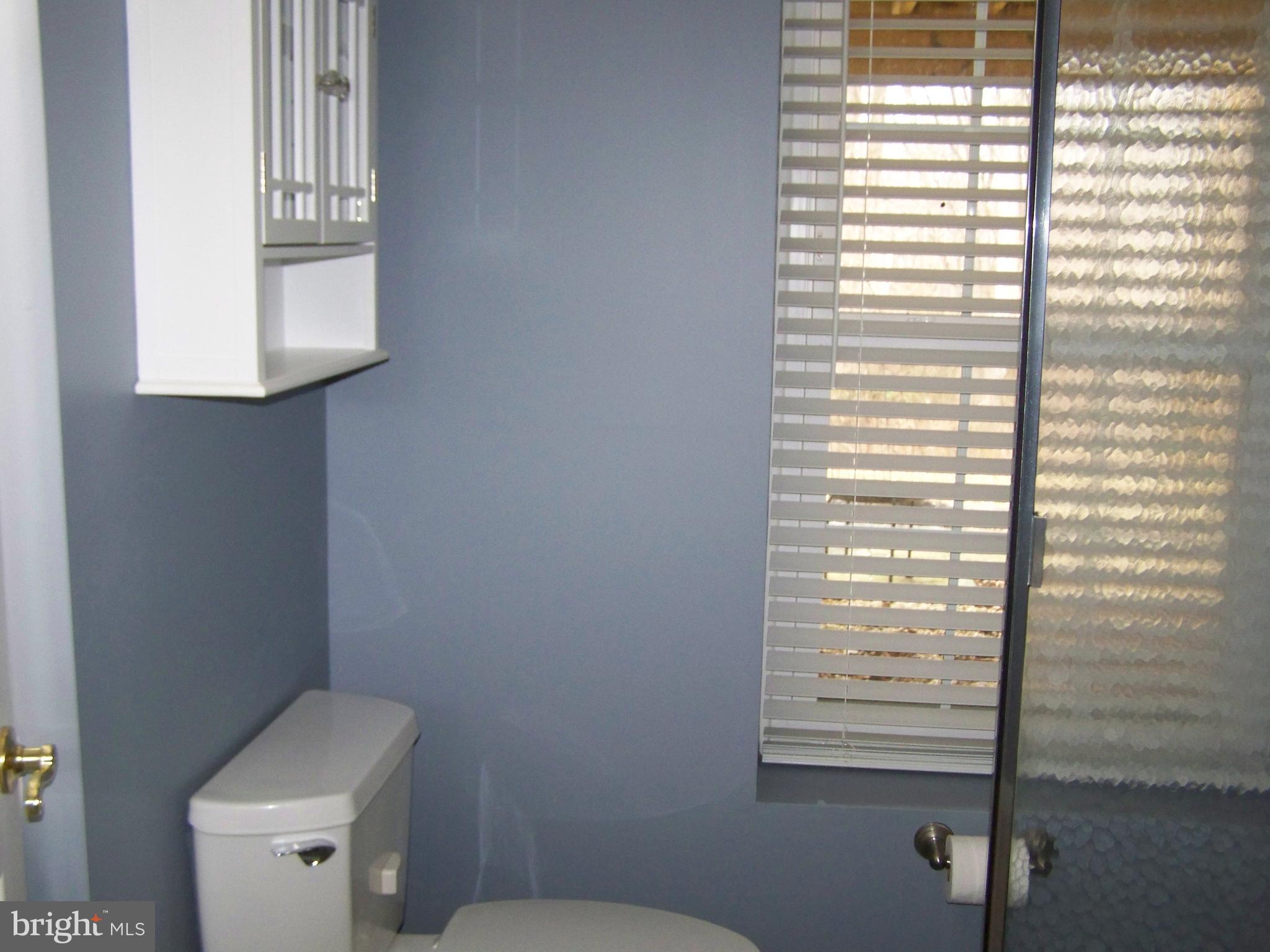 2416 Engle Road Fallston, MD 21047 - Photo 76 of 82 Basement Bath