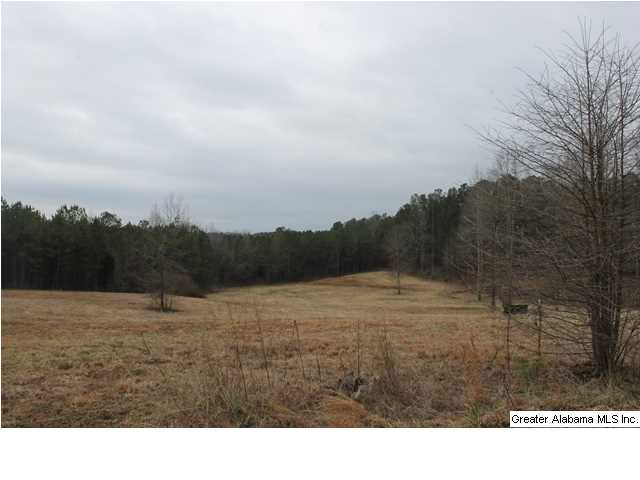 523 Pine Road, Unit 30 ACRES Daviston, AL 36256 - Photo 4 of 9