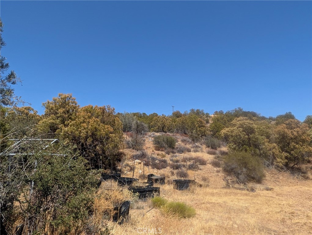 0 Upper Tule Road Anza, CA 92539 - Photo 6 of 7 Gallery Image 6
