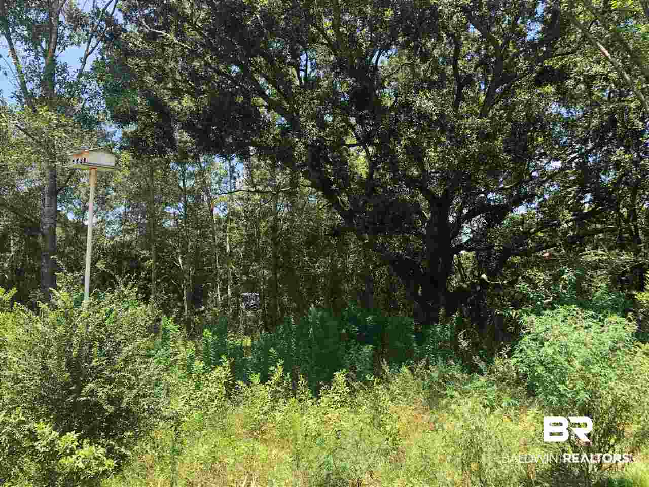 Lot 2 Woodland Avenue Foley, AL 36535 - Photo 7 of 26