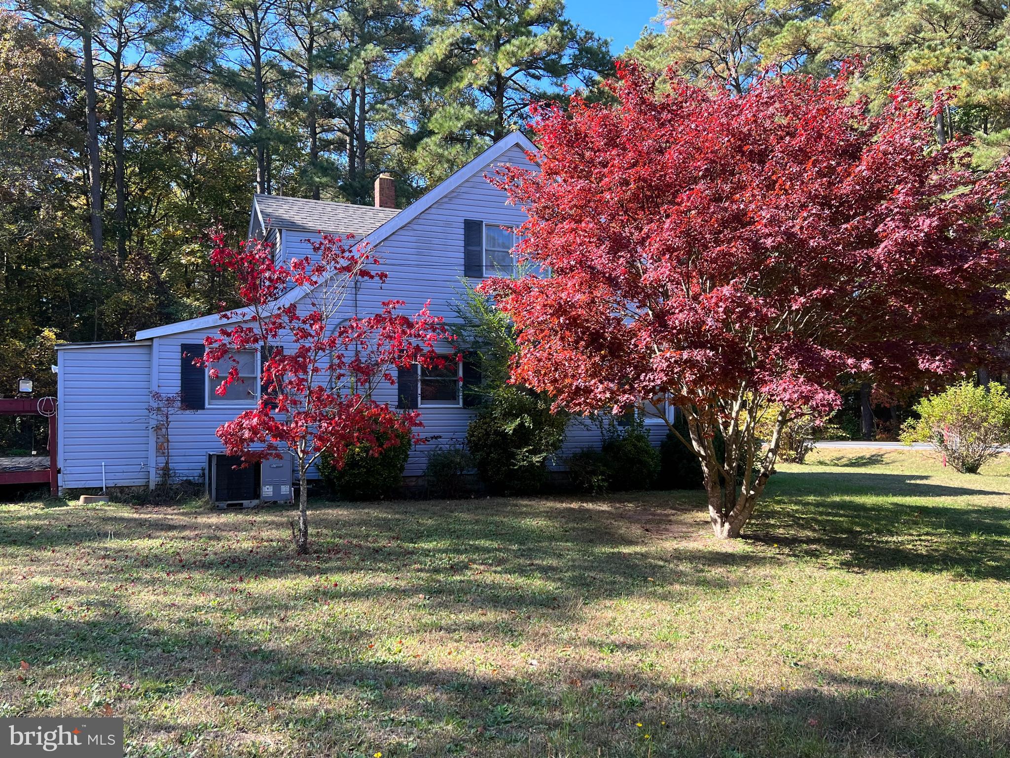 21355 Nanticoke Road Tyaskin, MD 21865 - Photo 16 of 19 Side of house by large cleared side yard