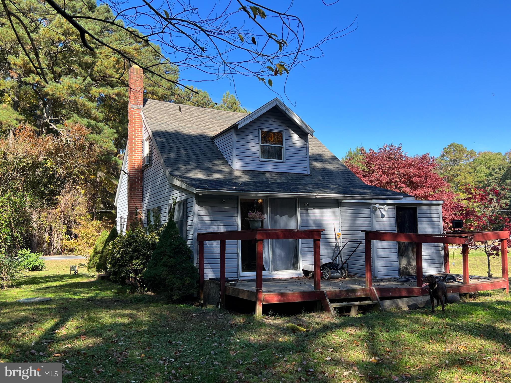 21355 Nanticoke Road Tyaskin, MD 21865 - Photo 17 of 19 Back of house