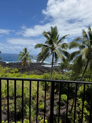 a view of balcony with wooden floor