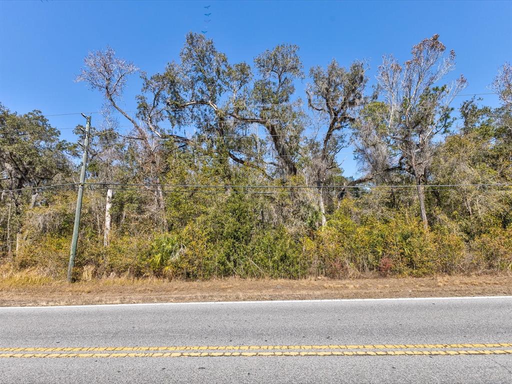 0 Wiscon Road East Brooksville, FL 34604 - Photo 17 of 17