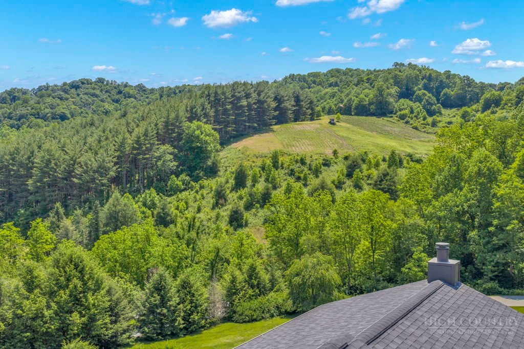 338 Woodbriar Road Sugar Grove, NC 28679 - Photo 17 of 49