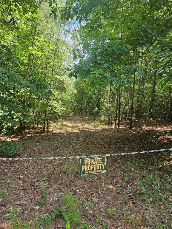 292 Mccannon Road Carlton, GA 30627 - Photo 4 of 21