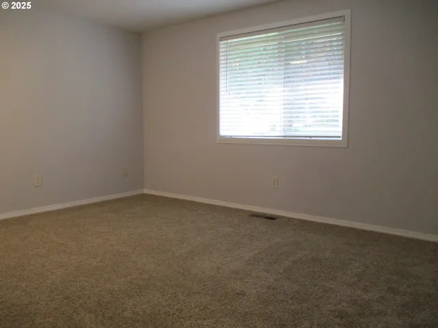 a black and white photo of a park