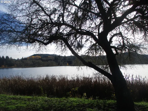 a big yard with lots of green space and plants
