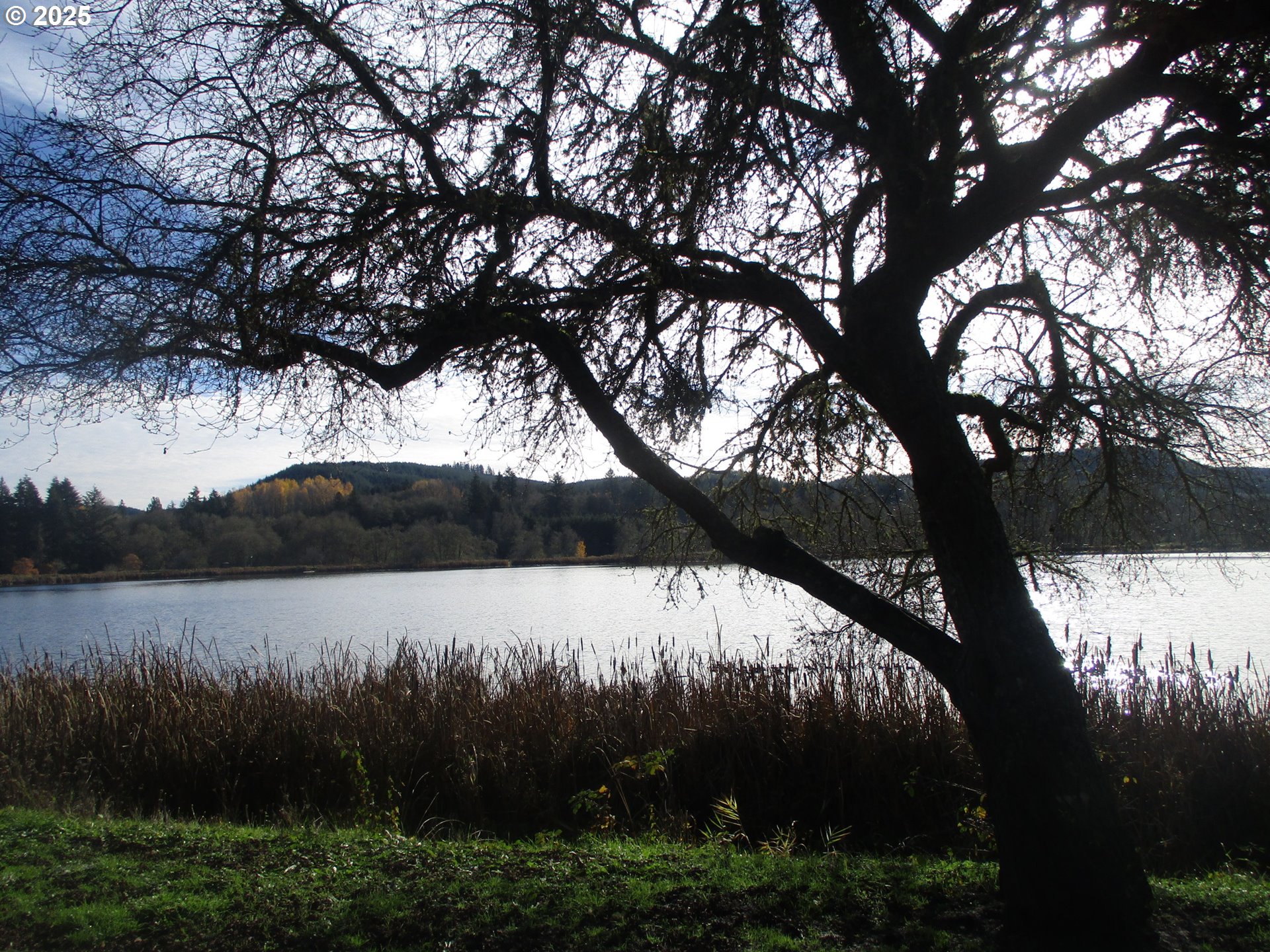 1153 2nd Avenue Vernonia, OR 97064 - Photo 25 of 27 a view of mountain view with lots of green space