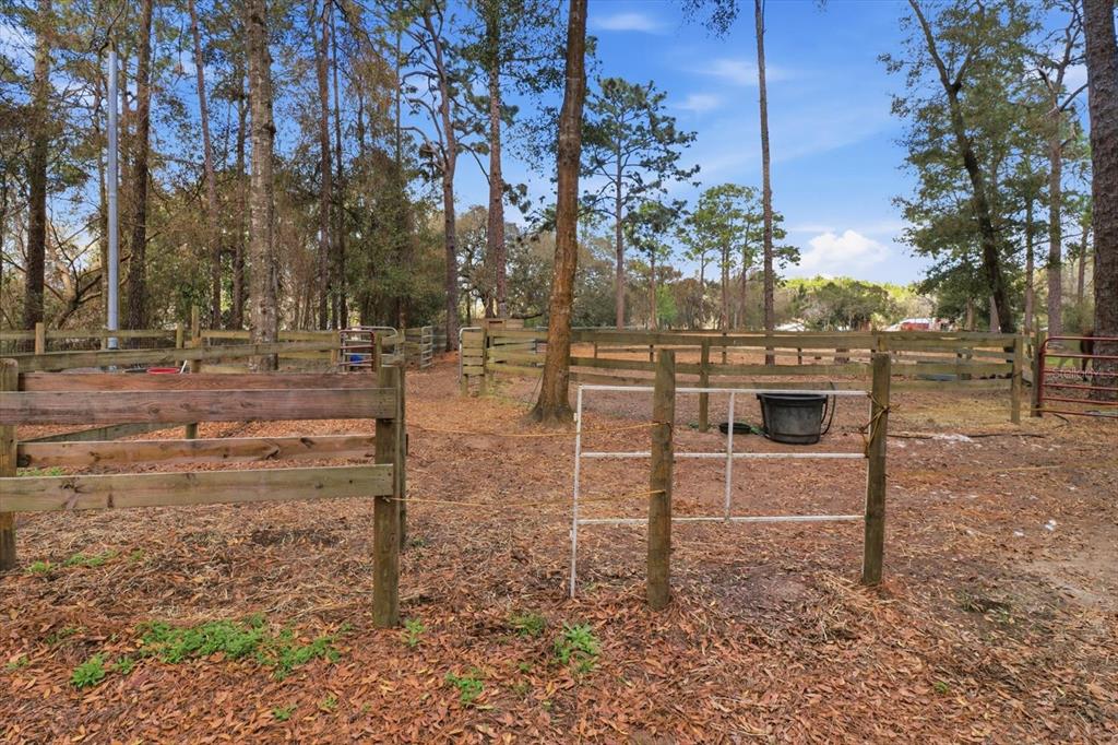 8863 South Evans Avenue Inverness, FL 34452 - Photo 51 of 59