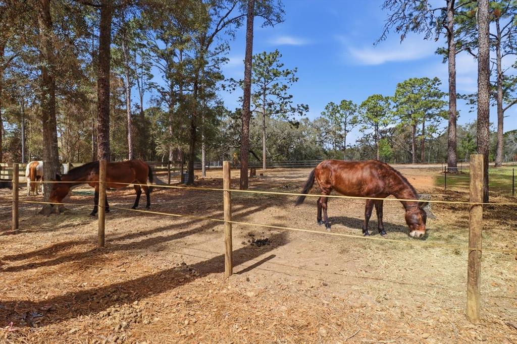 8863 South Evans Avenue Inverness, FL 34452 - Photo 52 of 59