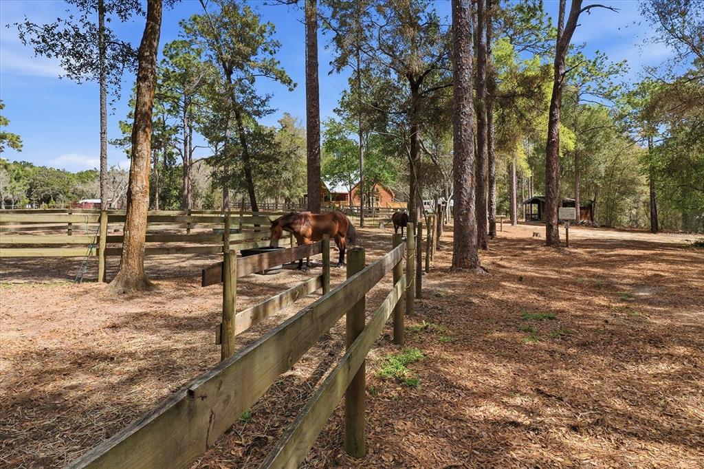 8863 South Evans Avenue Inverness, FL 34452 - Photo 53 of 59