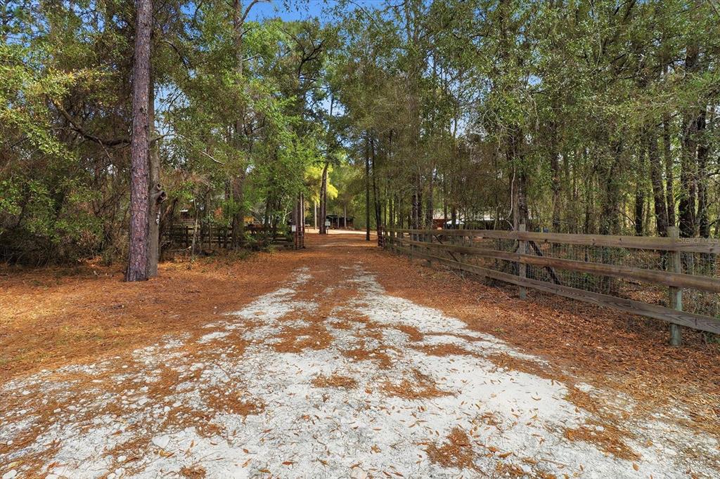 8863 South Evans Avenue Inverness, FL 34452 - Photo 54 of 59