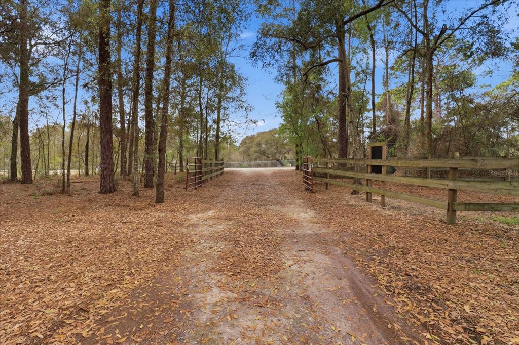 8863 South Evans Avenue Inverness, FL 34452 - Photo 55 of 59