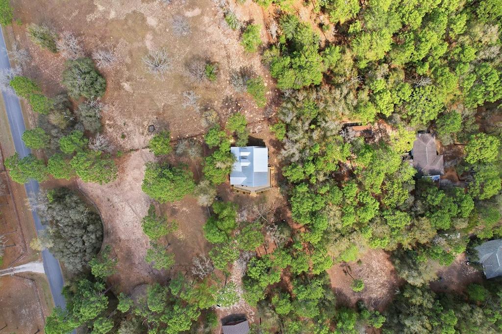 8863 South Evans Avenue Inverness, FL 34452 - Photo 56 of 59