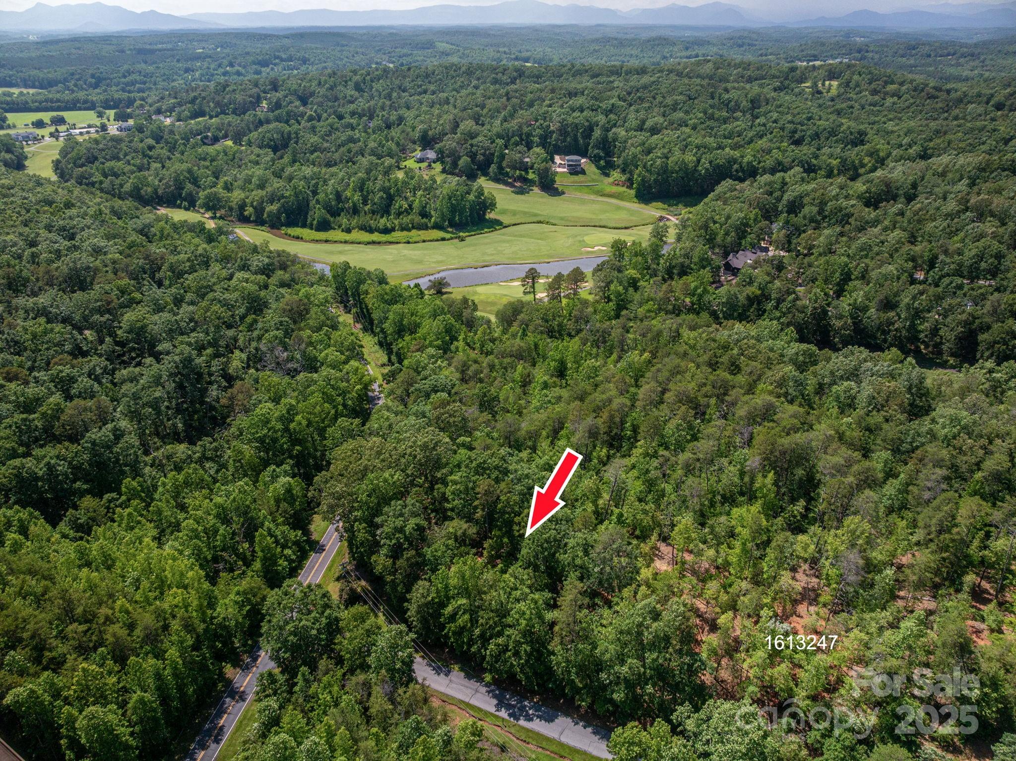 Lot #6 Cleghorn Mill Road Rutherfordton, NC 28139 - Photo 19 of 26