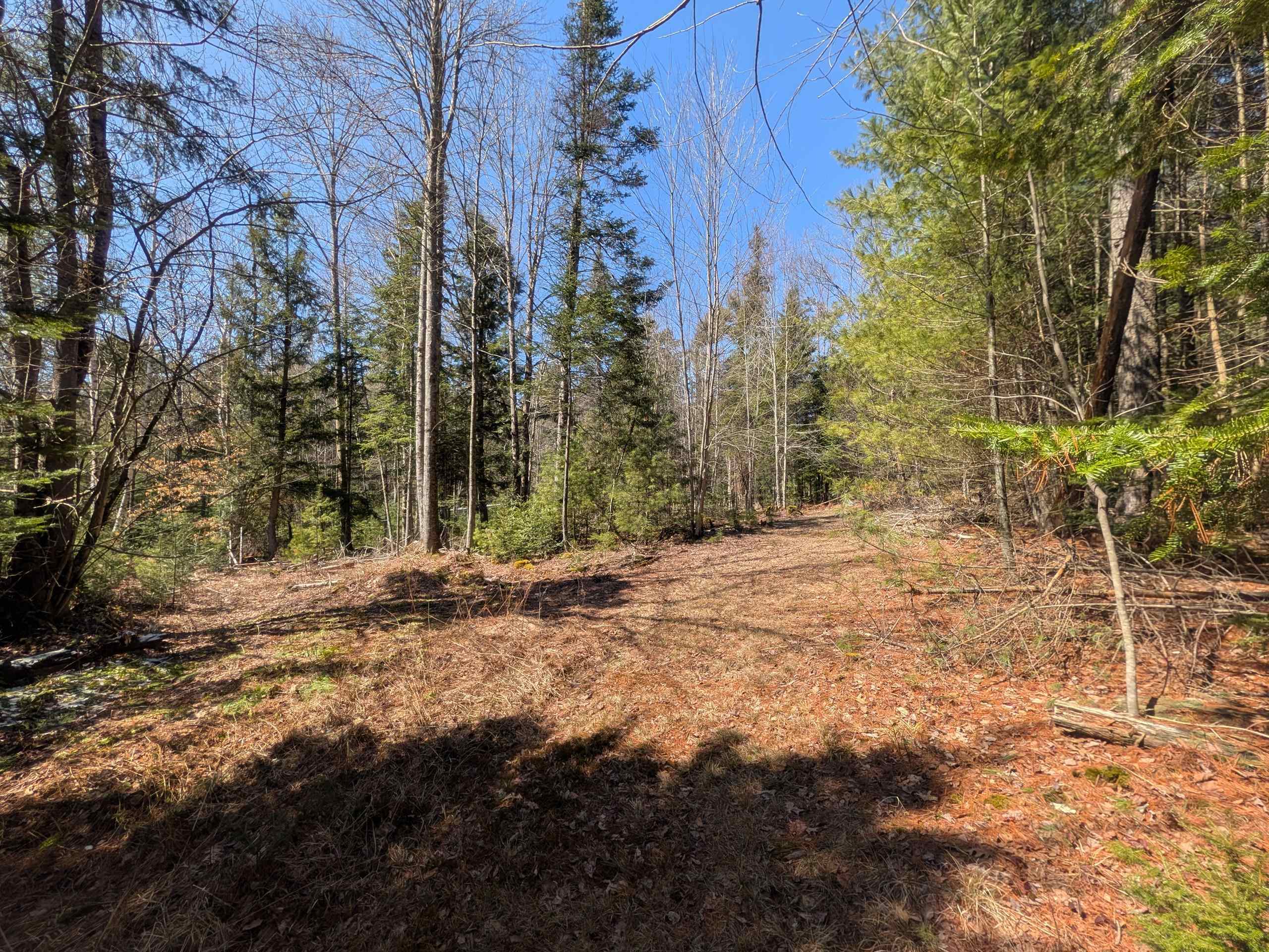 38 Keyes Hollow Road Lempster, NH 03605 - Photo 33 of 36