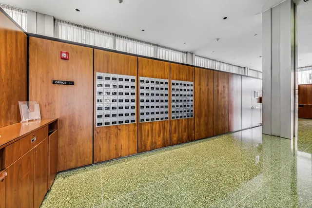 a view of a big yard and large trees