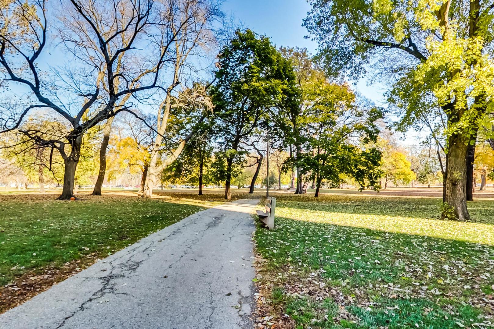 2400 North Lakeview Avenue, Unit 1708 Chicago, IL 60614 - Photo 49 of 50 a view of yard with trees