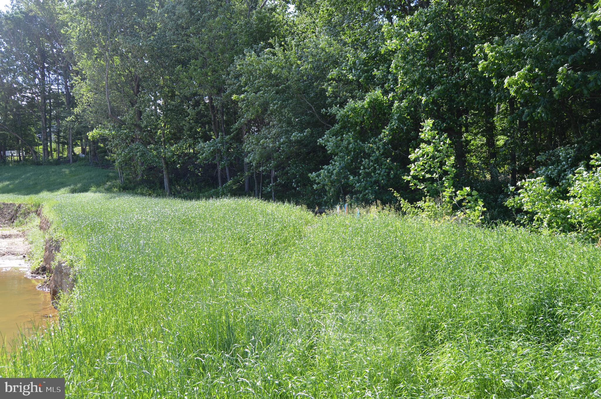 156 Bancroft Road, Unit CARLTON Kennett Square, PA 19348 - Photo 39 of 46 a view of outdoor space with a lake view