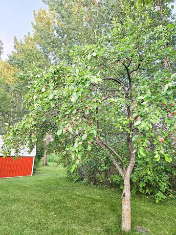 $199,999 | 432 East 2nd Street, Argyle, MN 56713