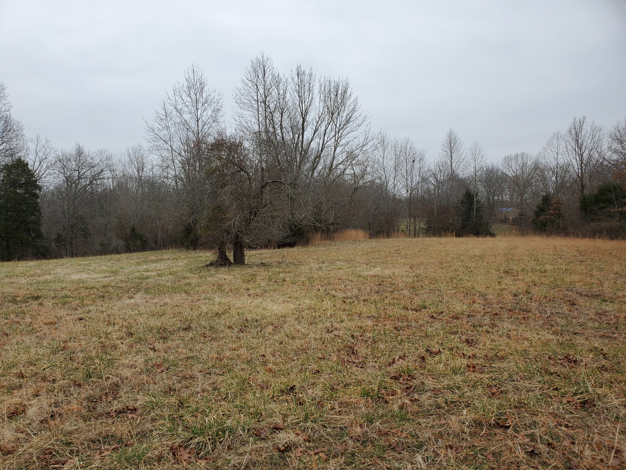 4531 Akin Road Cunningham, TN 37052 - Photo 1 of 10 a view of basketball court