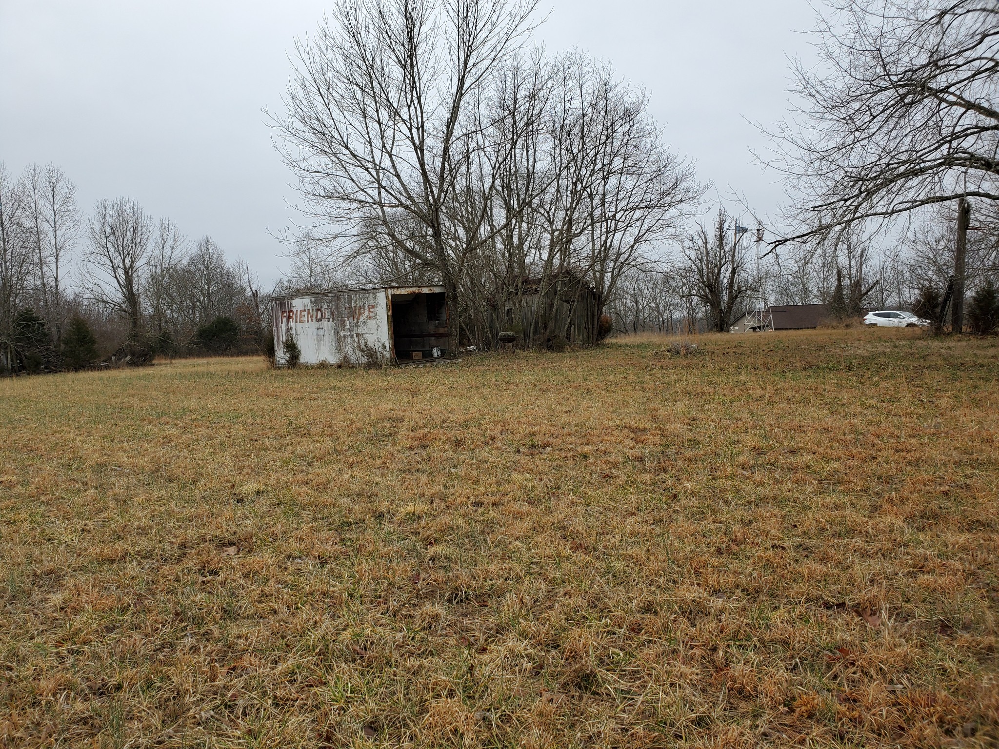 4531 Akin Road Cunningham, TN 37052 - Photo 3 of 10 a backyard of a house with large trees