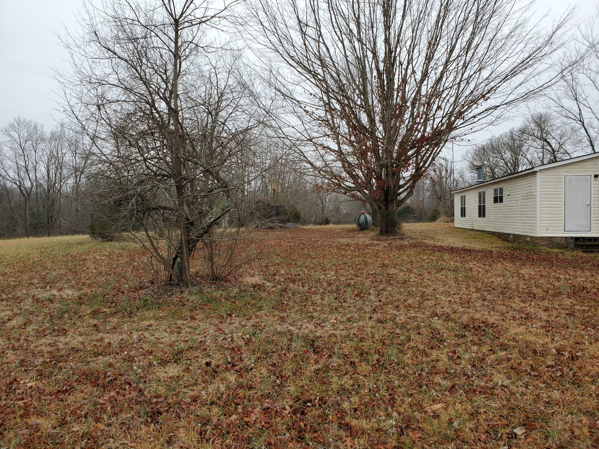 4531 Akin Road Cunningham, TN 37052 - Photo 6 of 10 a backyard of a house with large trees