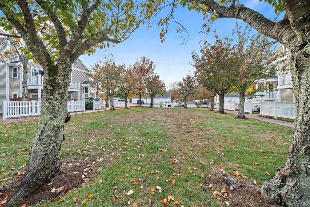 192 Allerton Commons Lane, Unit 192 Braintree, MA 02184 - Photo 16 of 17 a view of a yard with a tree