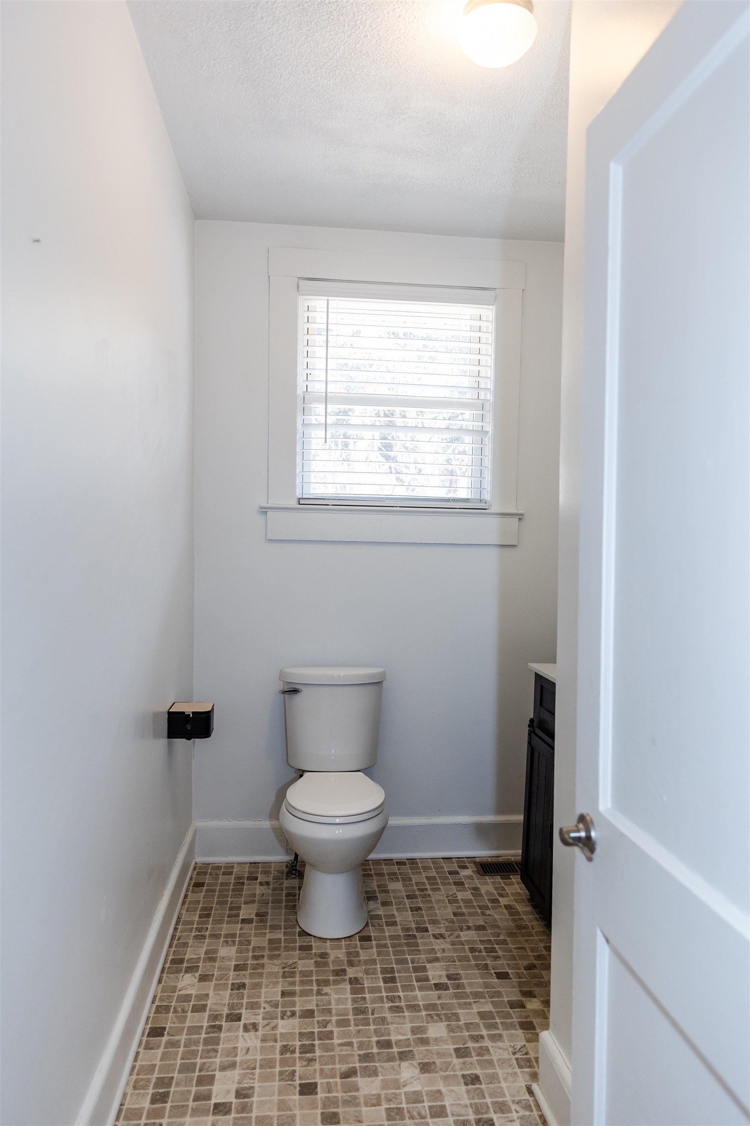 713 Thorn Hill Road Lexington, VA 24450 - Photo 36 of 45 a bathroom with a toilet a sink and a window