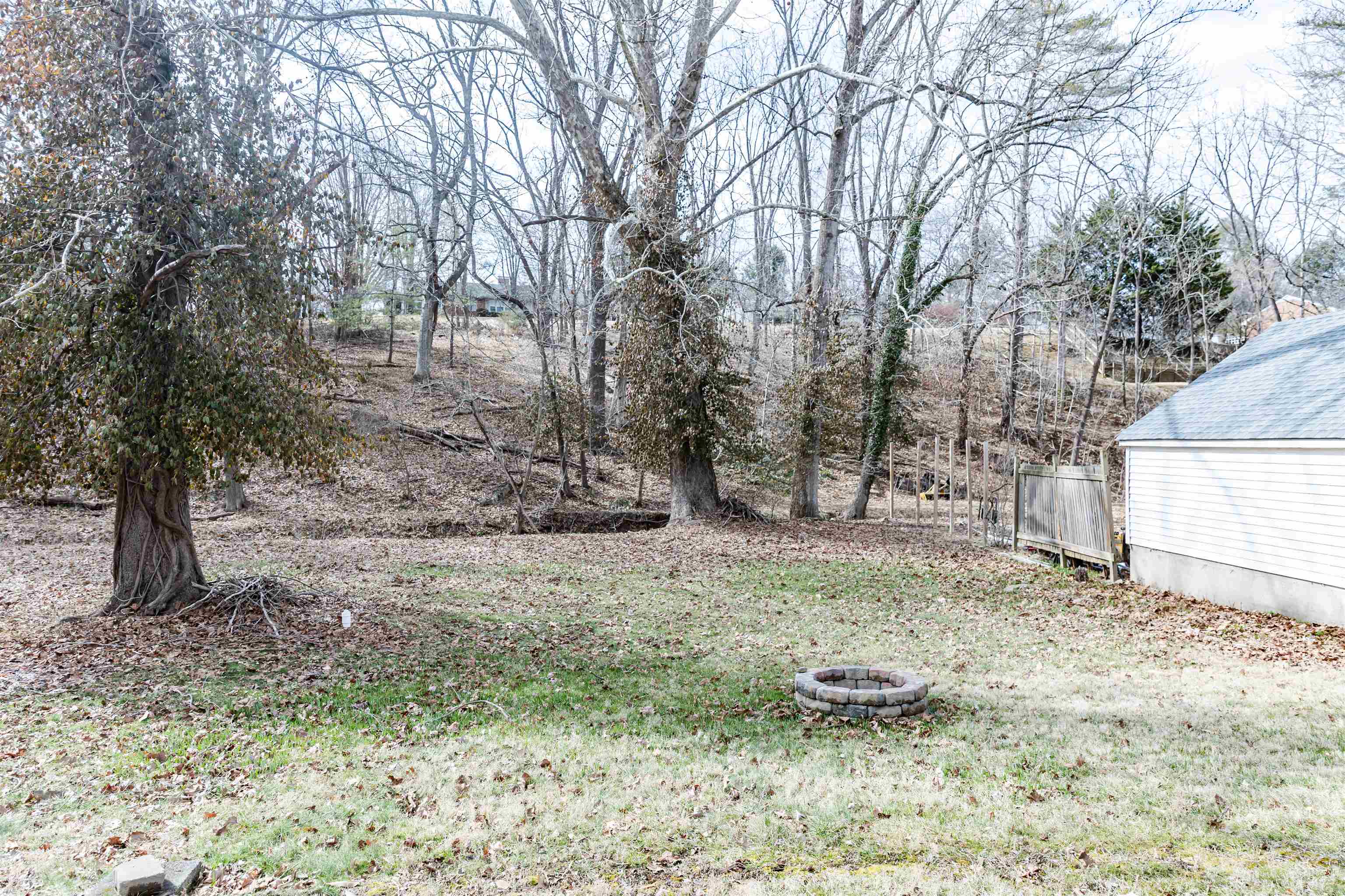 713 Thorn Hill Road Lexington, VA 24450 - Photo 5 of 45 a backyard of a house with lots of green space