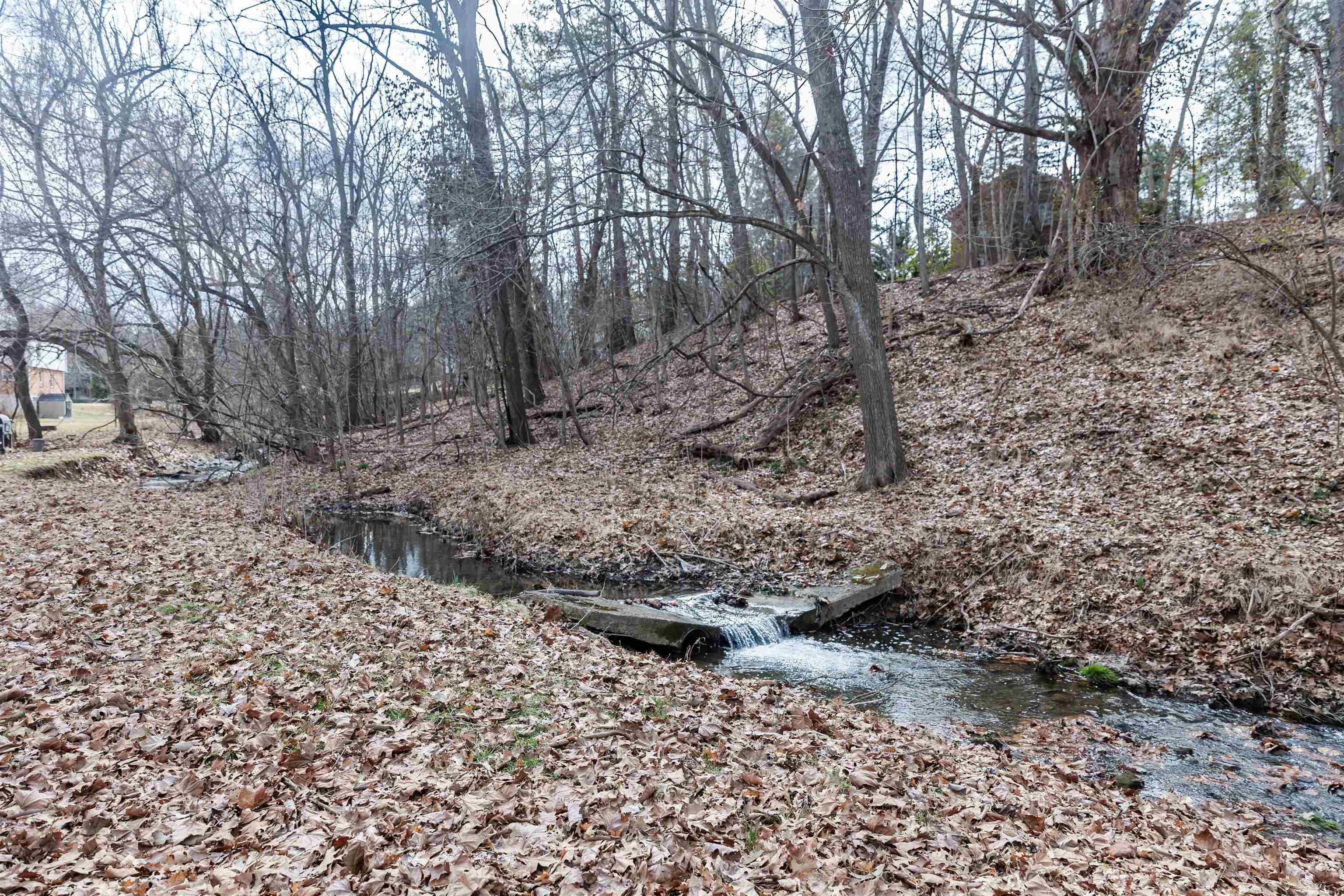 713 Thorn Hill Road Lexington, VA 24450 - Photo 6 of 45 a view of a forest filled with trees