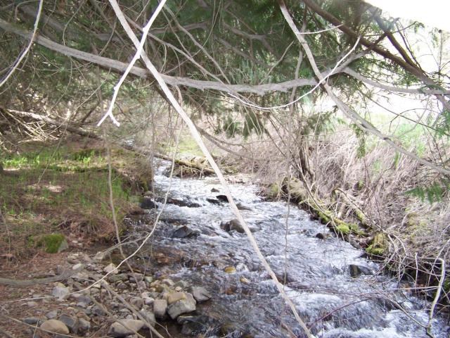 18-xx Swiss Valley Road Addy, WA 99101 - Photo 2 of 11