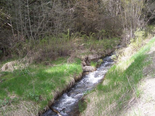 18-xx Swiss Valley Road Addy, WA 99101 - Photo 3 of 11