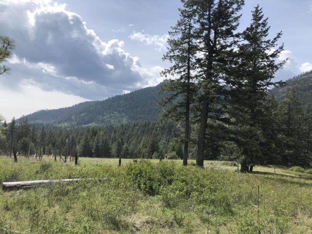 18-xx Swiss Valley Road Addy, WA 99101 - Photo 4 of 11