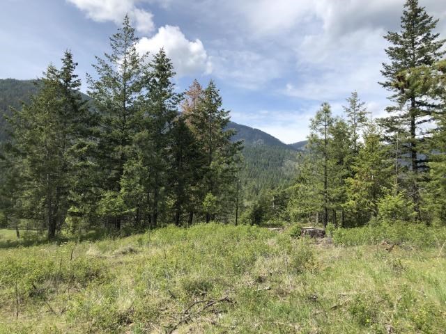 18-xx Swiss Valley Road Addy, WA 99101 - Photo 5 of 11