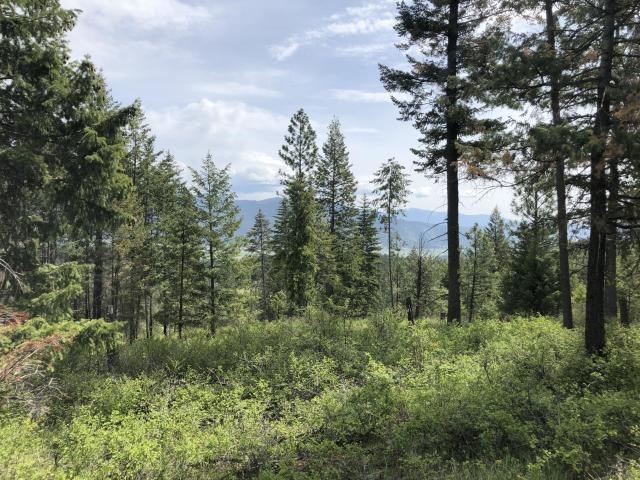 18-xx Swiss Valley Road Addy, WA 99101 - Photo 6 of 11