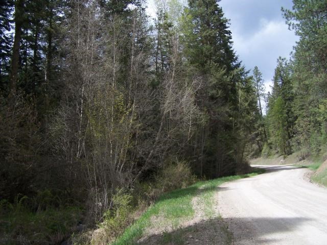 18-xx Swiss Valley Road Addy, WA 99101 - Photo 7 of 11