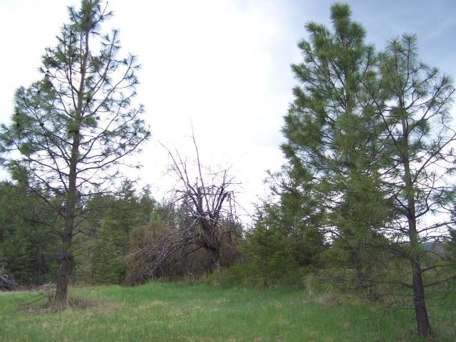 18-xx Swiss Valley Road Addy, WA 99101 - Photo 8 of 11
