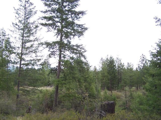 18-xx Swiss Valley Road Addy, WA 99101 - Photo 9 of 11