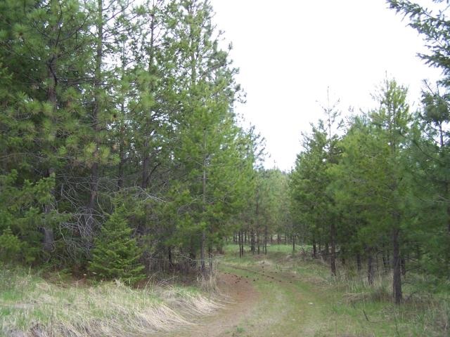 18-xx Swiss Valley Road Addy, WA 99101 - Photo 10 of 11