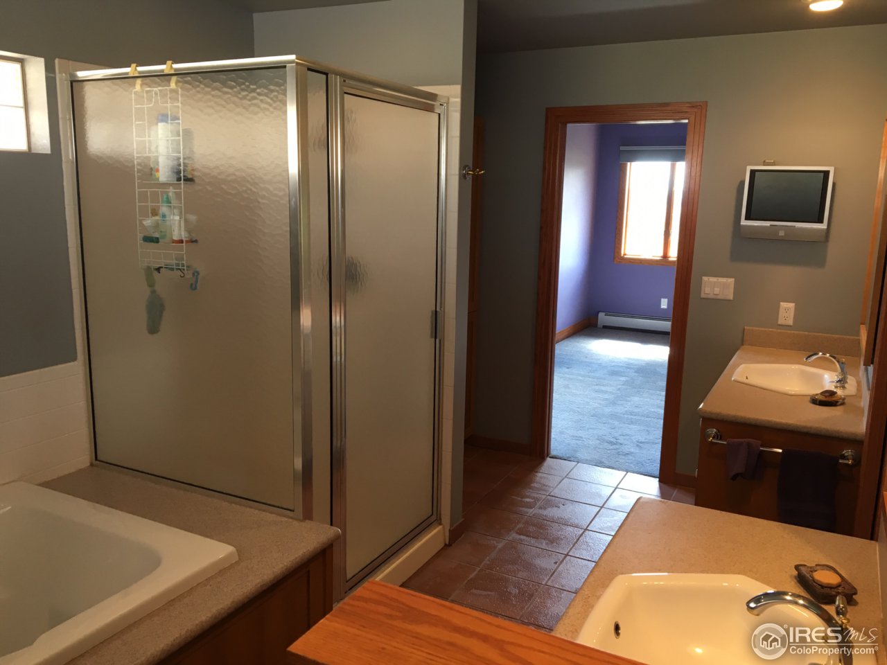 1100 Shadow Ridge Road Laporte, CO 80535 - Photo 18 of 32 5 piece Mstr bath w/Jetted Tub