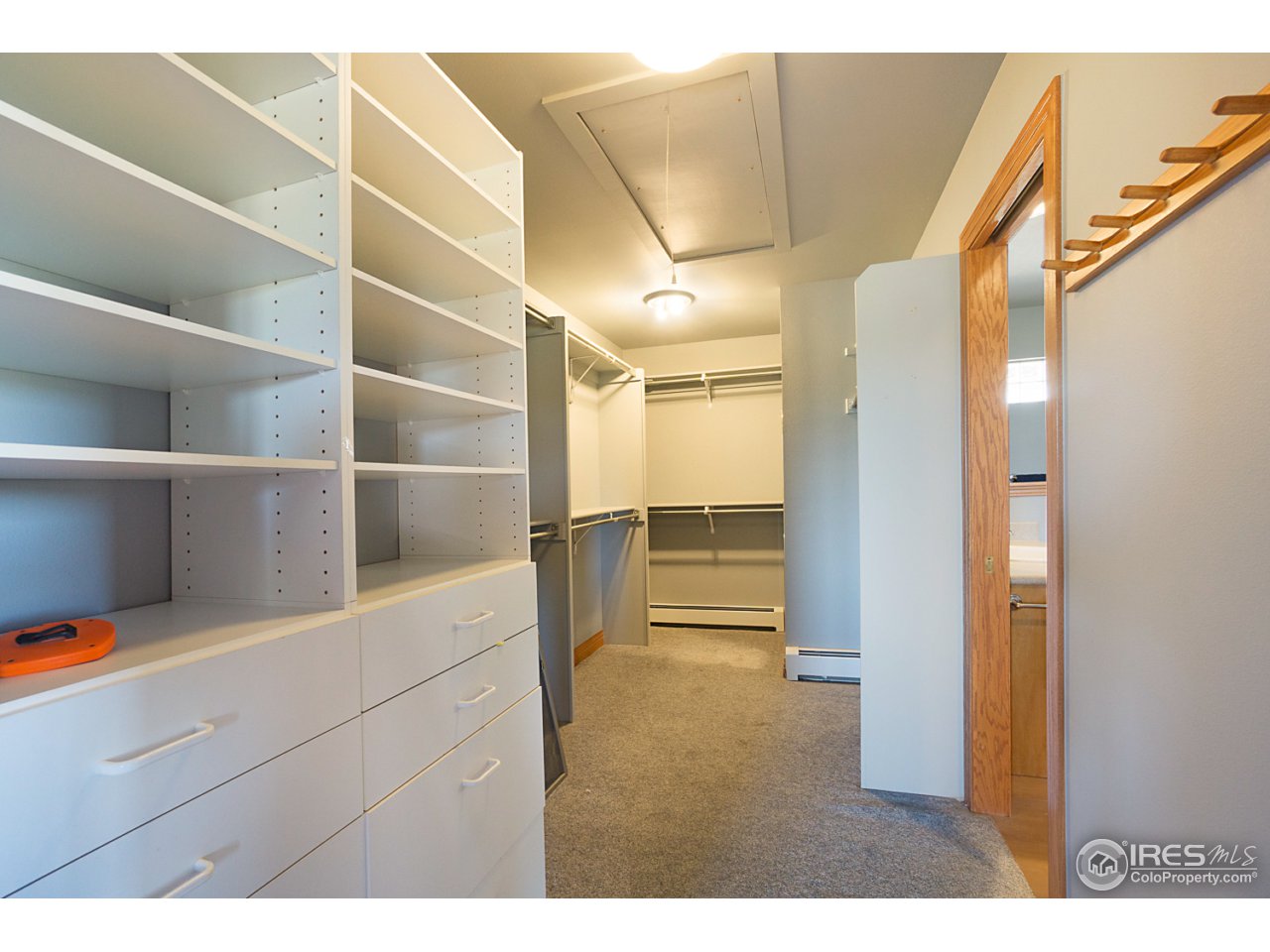 1100 Shadow Ridge Road Laporte, CO 80535 - Photo 19 of 32 Master Closet