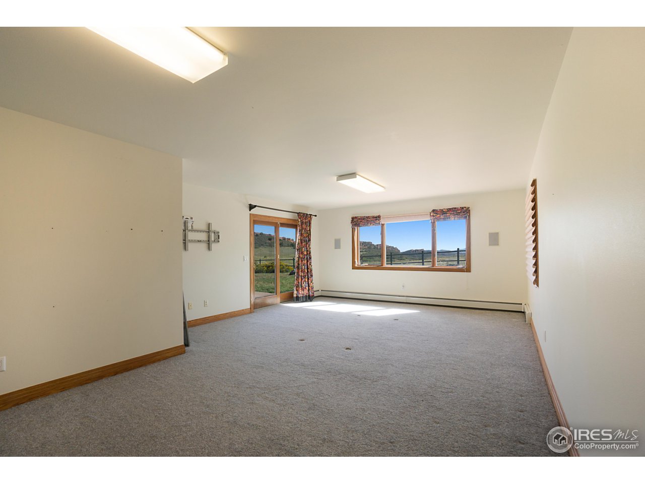 1100 Shadow Ridge Road Laporte, CO 80535 - Photo 20 of 32 Rec Room w/walk-out