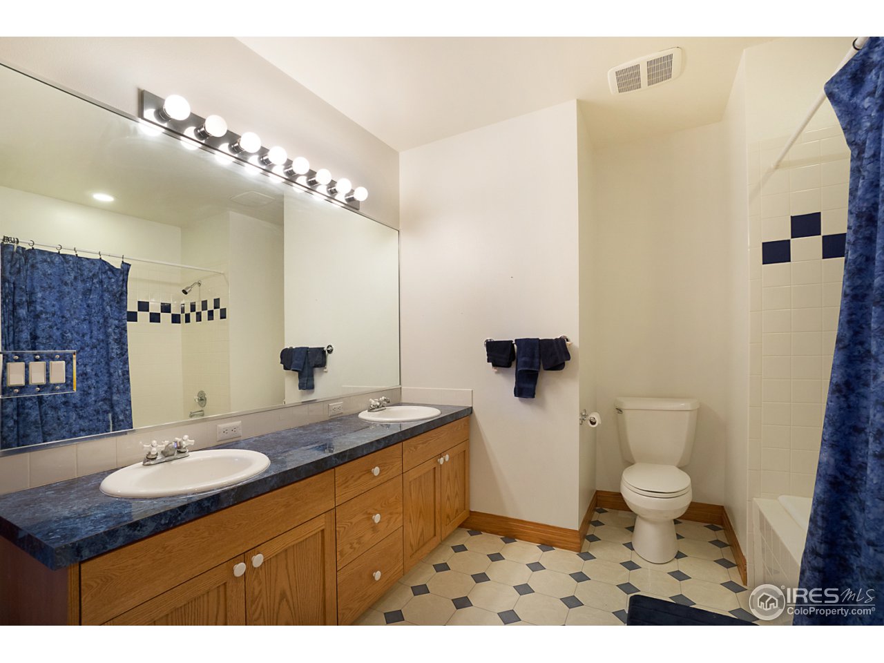 1100 Shadow Ridge Road Laporte, CO 80535 - Photo 23 of 32 Lower Level Bath