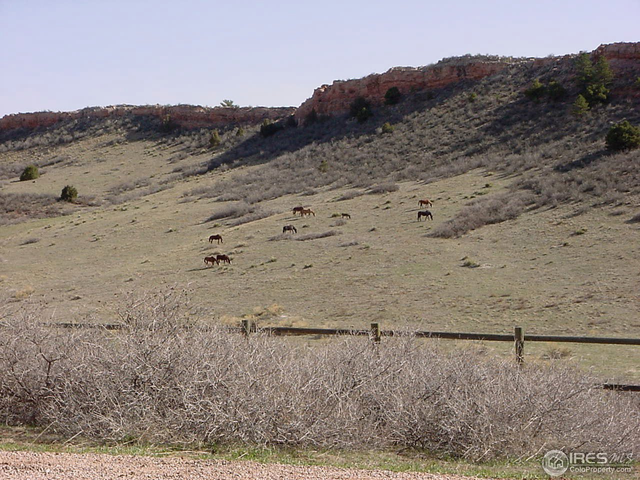 1100 Shadow Ridge Road Laporte, CO 80535 - Photo 30 of 32 Gallery Image 30