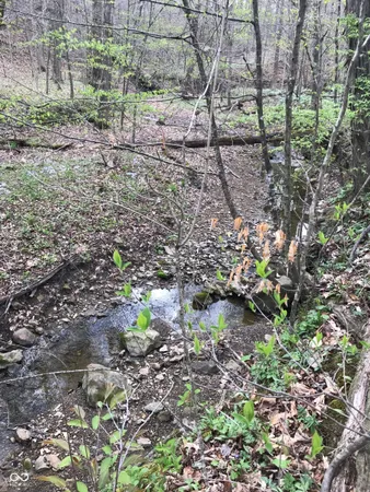 $274,999 | 600 South, Reelsville, IN 46171